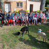 Adélčin dvoreček_2