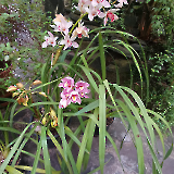 Botanická zahrada Teplice_13
