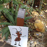 Botanická zahrada Teplice_1